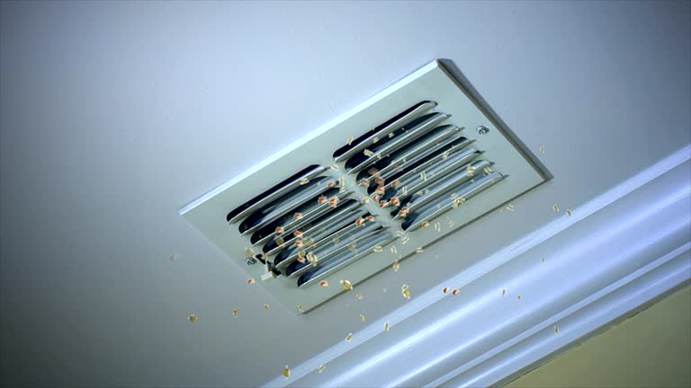 Best Commercial Air Duct Cleaning  in Wheeling, IL