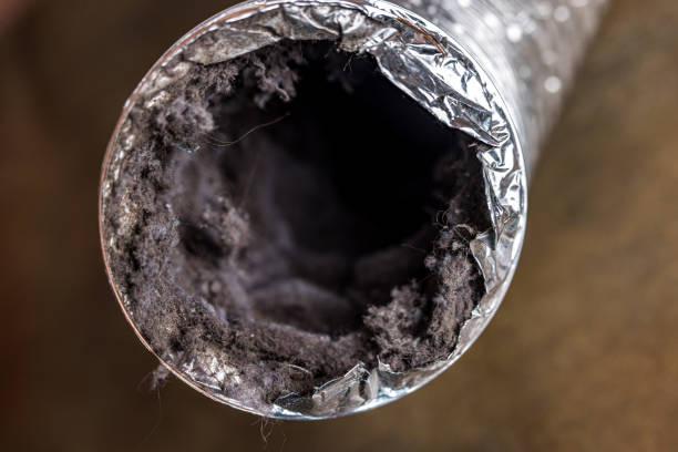 Best Duct Cleaning for Homes  in Wheeling, IL