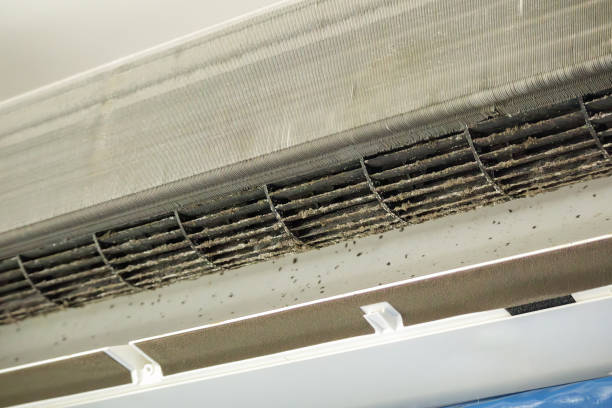 Best HVAC Duct Inspection Services  in Wheeling, IL